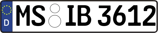 MS-IB3612