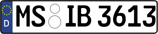 MS-IB3613