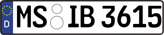 MS-IB3615