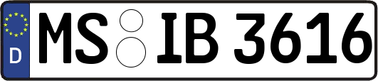 MS-IB3616