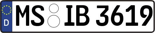 MS-IB3619
