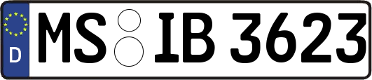 MS-IB3623