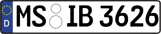 MS-IB3626