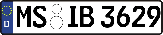 MS-IB3629