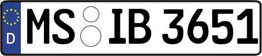 MS-IB3651
