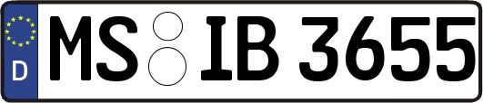 MS-IB3655