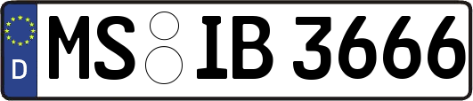MS-IB3666