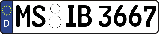 MS-IB3667