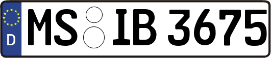 MS-IB3675
