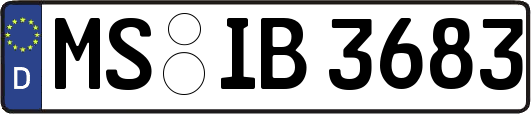 MS-IB3683