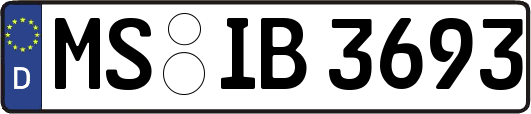 MS-IB3693