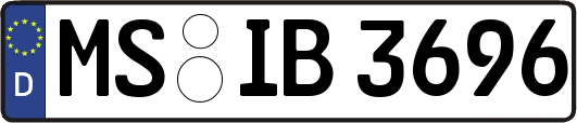 MS-IB3696