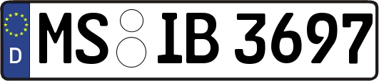 MS-IB3697