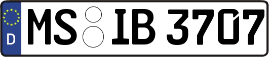 MS-IB3707