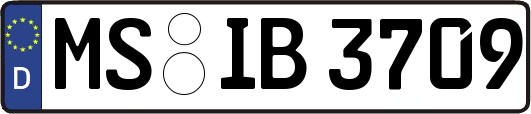 MS-IB3709