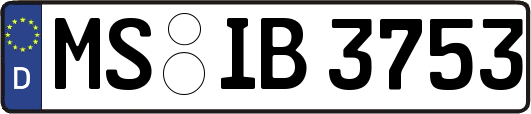 MS-IB3753