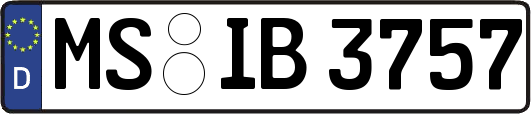 MS-IB3757