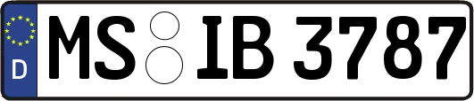 MS-IB3787