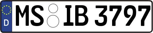MS-IB3797