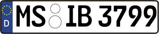 MS-IB3799