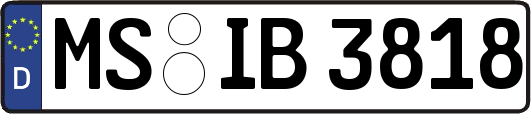 MS-IB3818