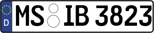 MS-IB3823