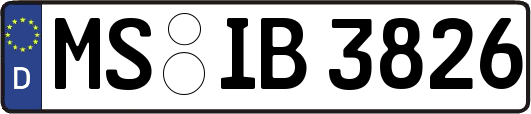 MS-IB3826