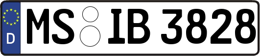 MS-IB3828