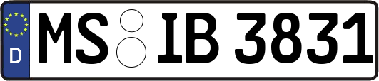 MS-IB3831