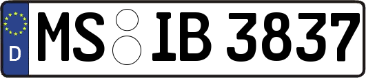 MS-IB3837