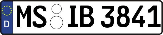 MS-IB3841