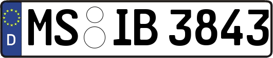MS-IB3843