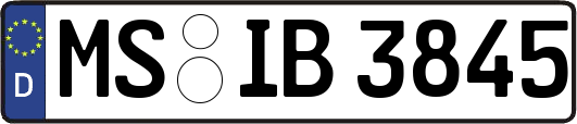 MS-IB3845