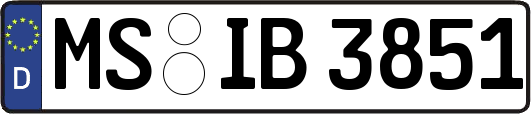 MS-IB3851