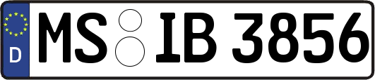 MS-IB3856