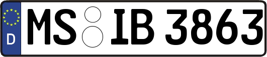 MS-IB3863