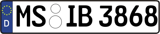 MS-IB3868