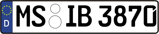 MS-IB3870