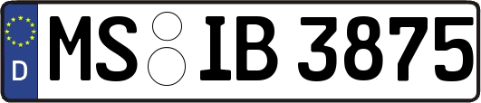 MS-IB3875
