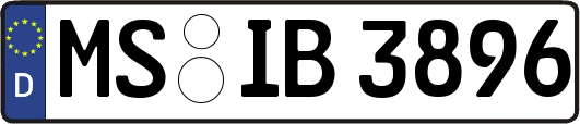 MS-IB3896
