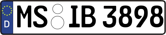 MS-IB3898