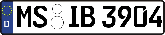 MS-IB3904