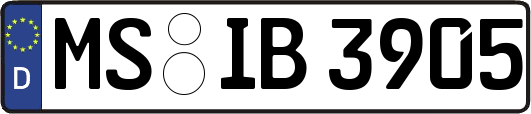 MS-IB3905