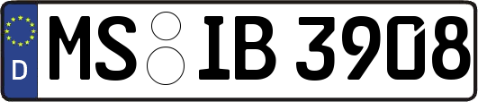 MS-IB3908