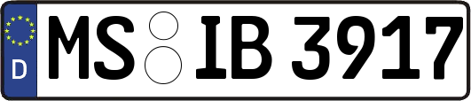 MS-IB3917