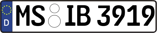 MS-IB3919