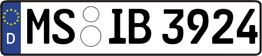 MS-IB3924