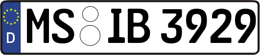 MS-IB3929