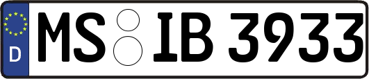 MS-IB3933