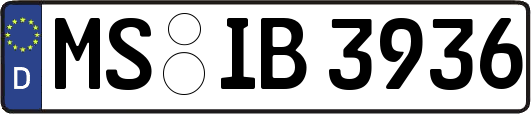 MS-IB3936
